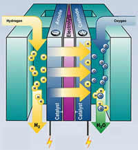 Fuel-cell.jpg